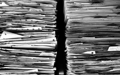 1er degré – Les circulaires et leurs annexes 2024-2025