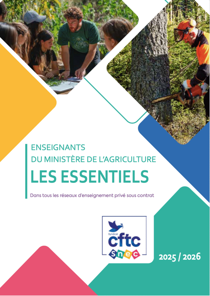 Enseignants